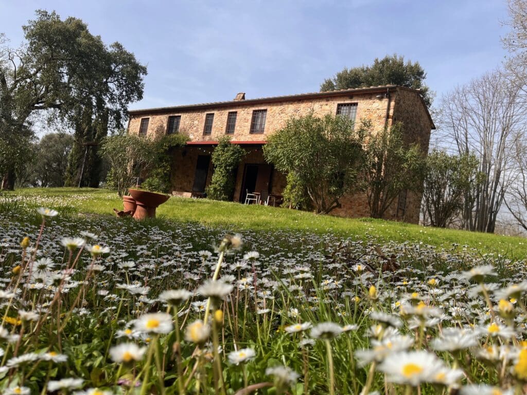 Casa Ferruccio an Ostern mit Gänseblümchen