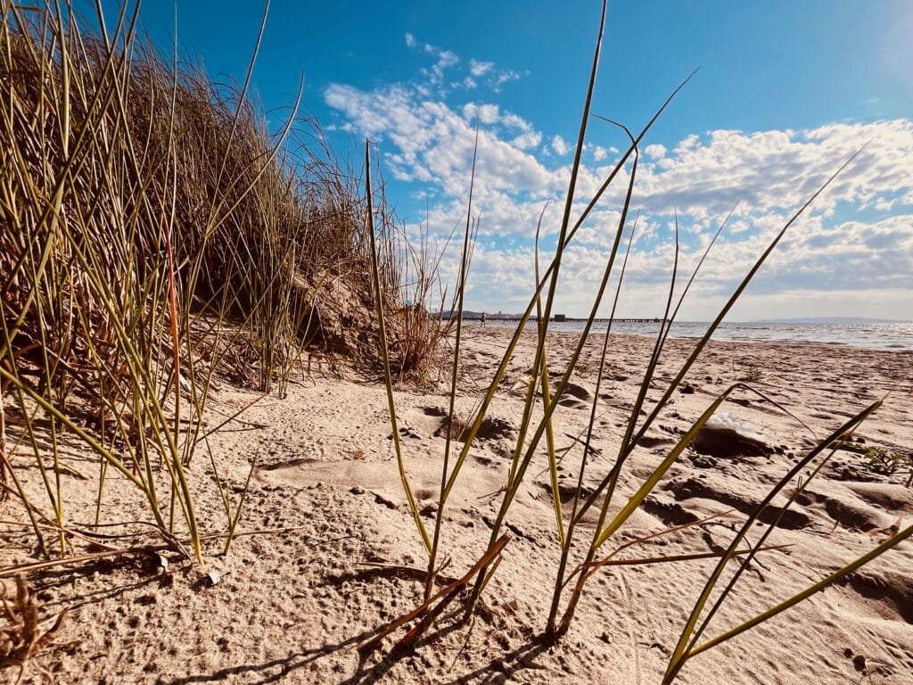 Ausflug zum Puntone Beach - italienische Dünen