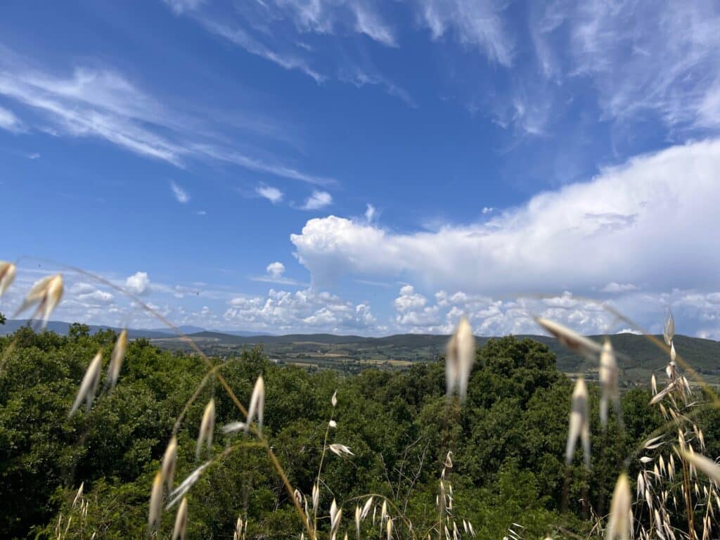 Blick vom Haferhügel